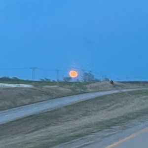 Meet your Posher, Sophan